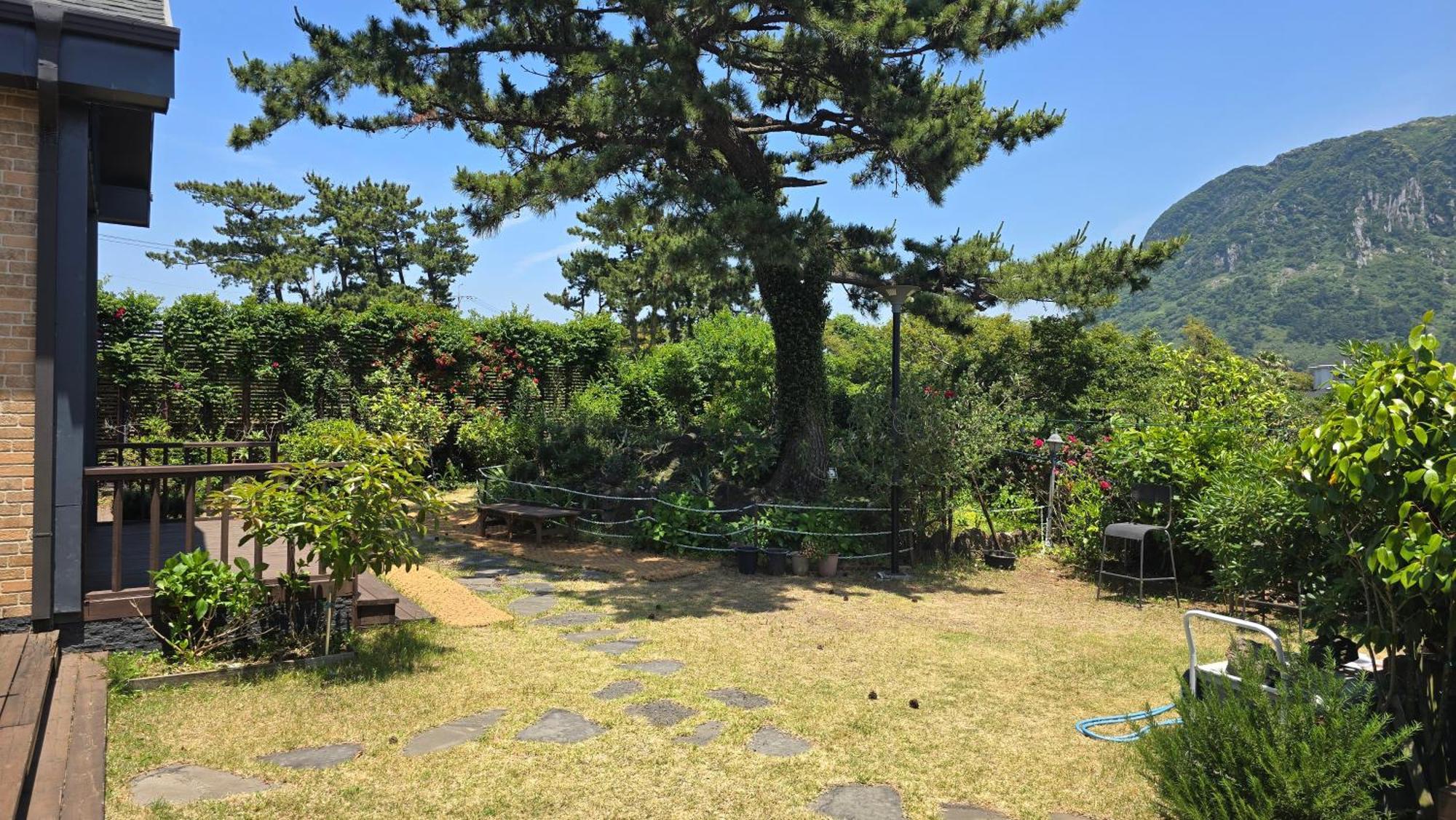 Wind Jeju Cafe & Pension Seogwipo Exterior photo